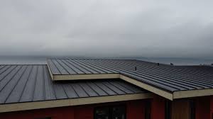 Best Green or Eco-Friendly Roofing Solutions  in Palmview South, TX